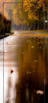 Дверь с фотопечатью №5